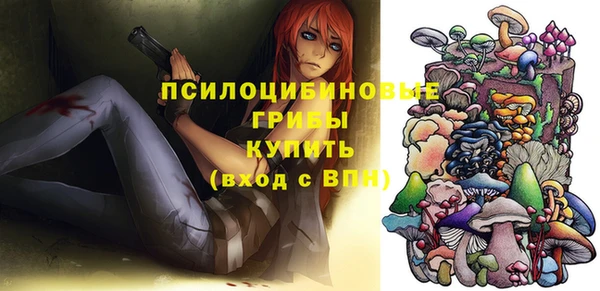 молекула духа Беломорск