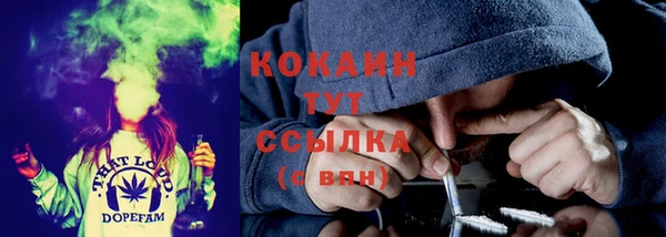 2c-b Белокуриха